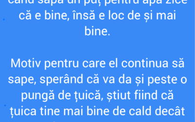 Polish_20220915_100813315