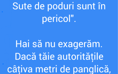 Polish_20220918_201539551