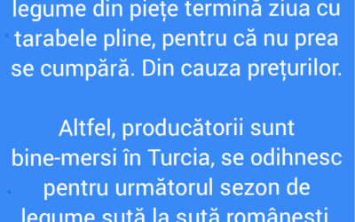 Polish_20220919_150403008