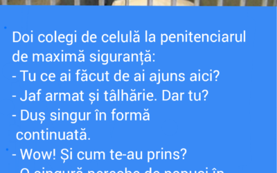 Polish_20221001_151526612