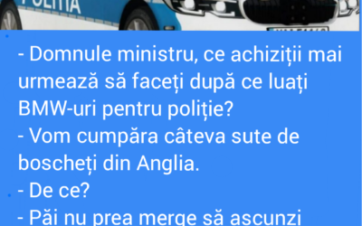 Polish_20221001_194834569