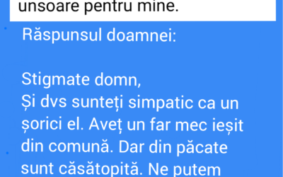 Polish_20221008_163811294