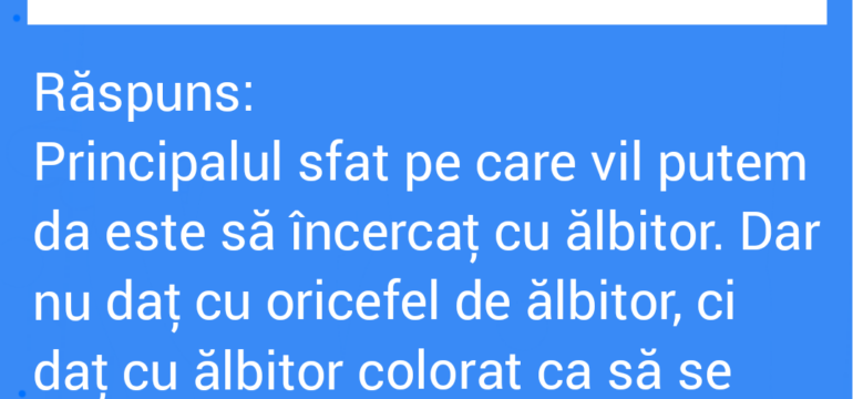 Polish_20221013_142947024