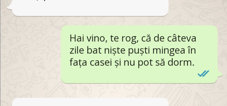 Polish_20221014_123850704