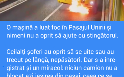 Polish_20221018_131536706