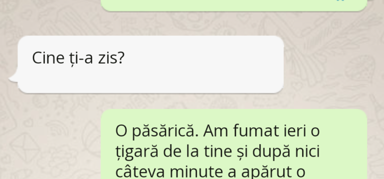 Polish_20221018_200937421