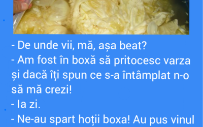 Polish_20221029_113440469