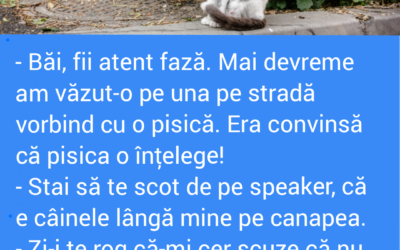 Polish_20221101_144853548
