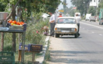 Polish_20221111_153644987