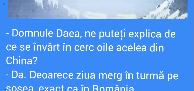 Polish_20221119_192428844