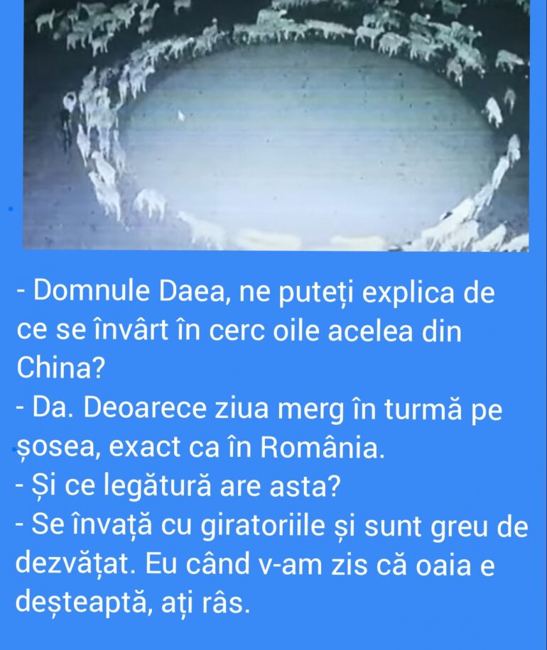 Polish_20221119_192428844