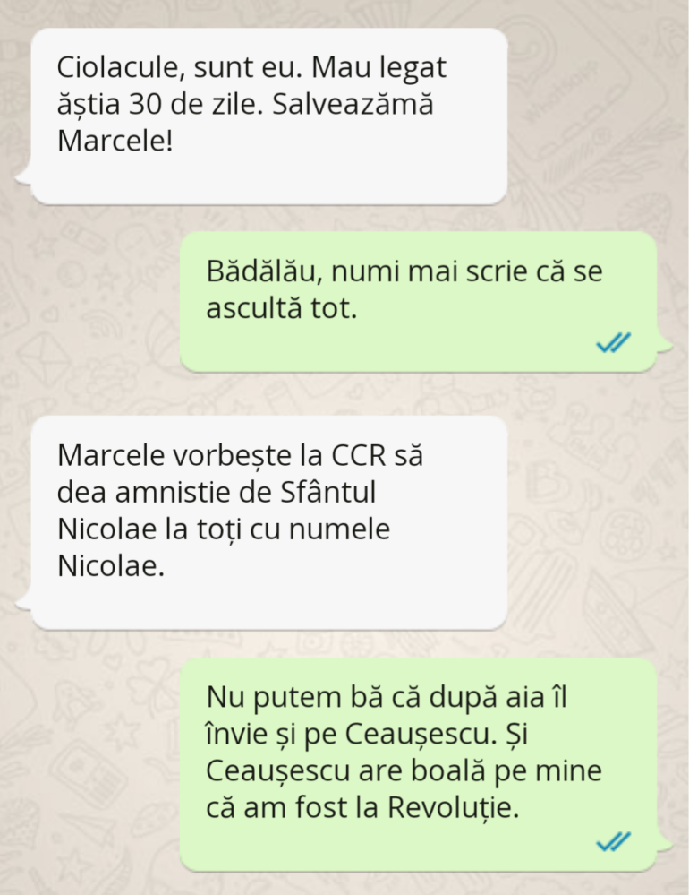 Polish_20221128_173147138