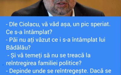 Polish_20221128_203833973