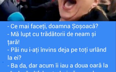 Polish_20221129_002713990