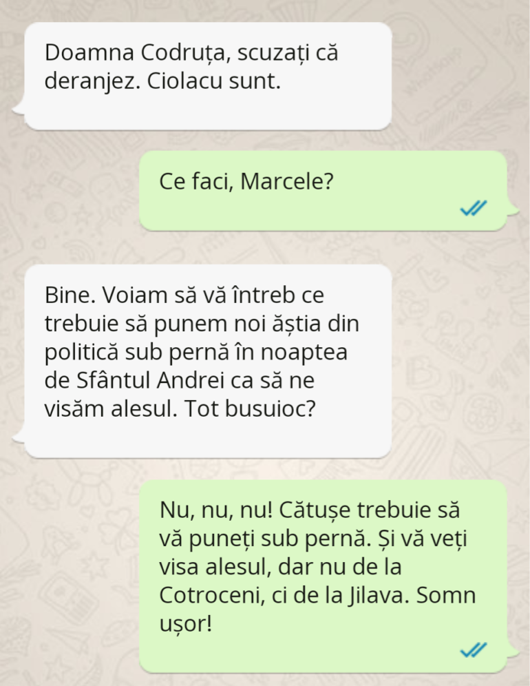 Polish_20221129_231011408