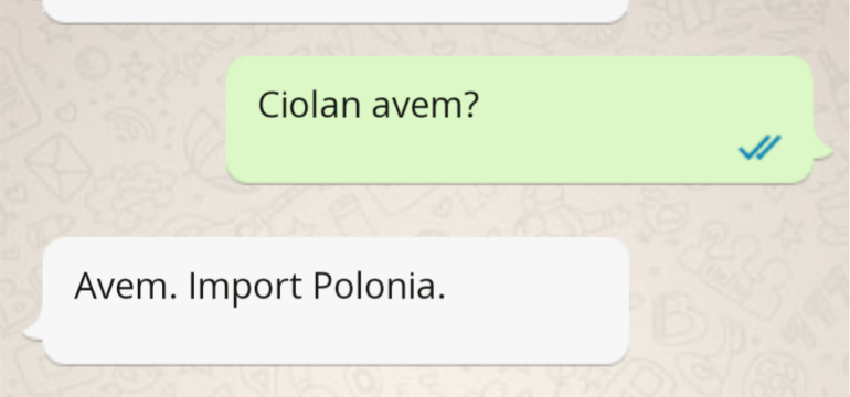 Polish_20221201_125619061