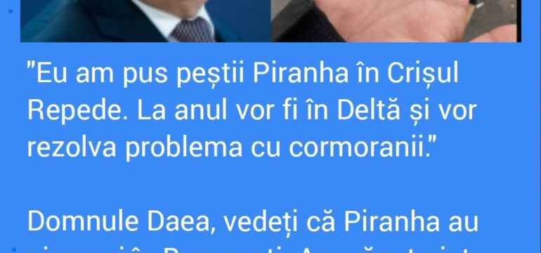 Polish_20221202_012142469