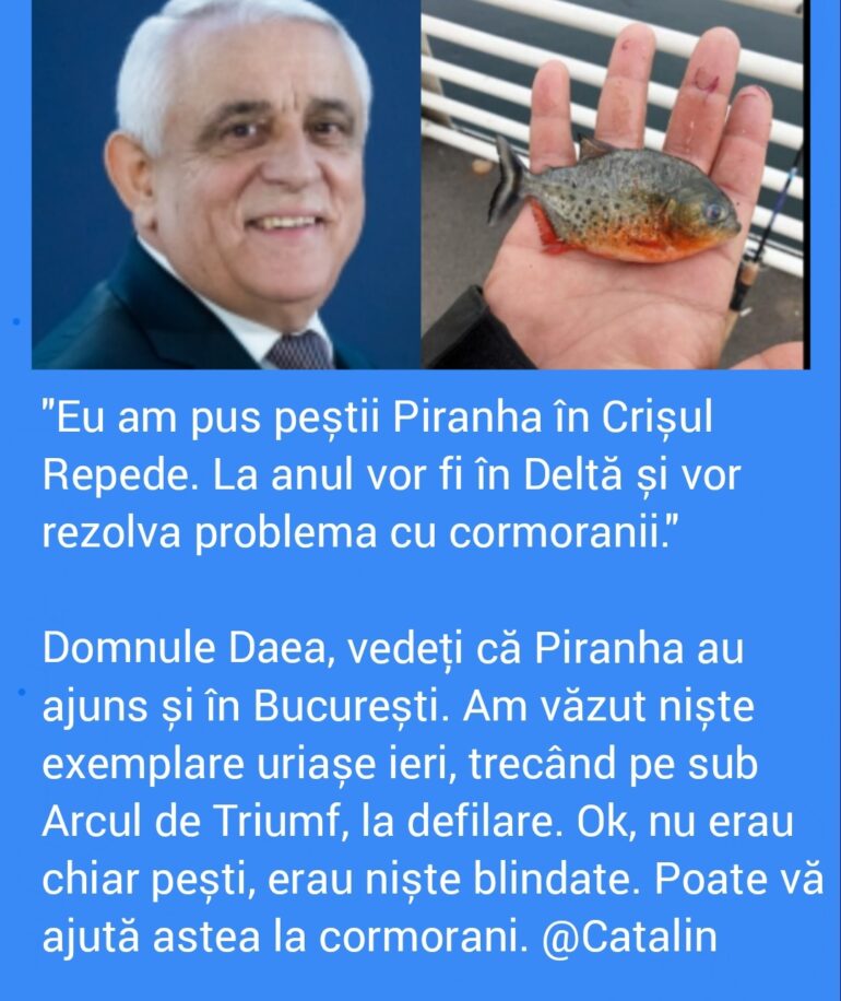 Polish_20221202_012142469