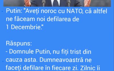 Polish_20221202_094543685