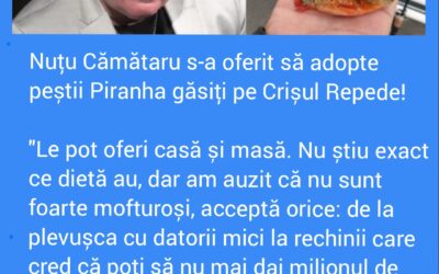 Polish_20221202_100347402