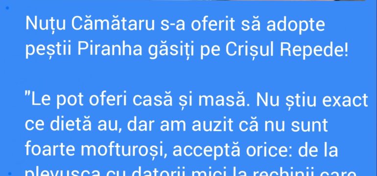 Polish_20221202_100347402