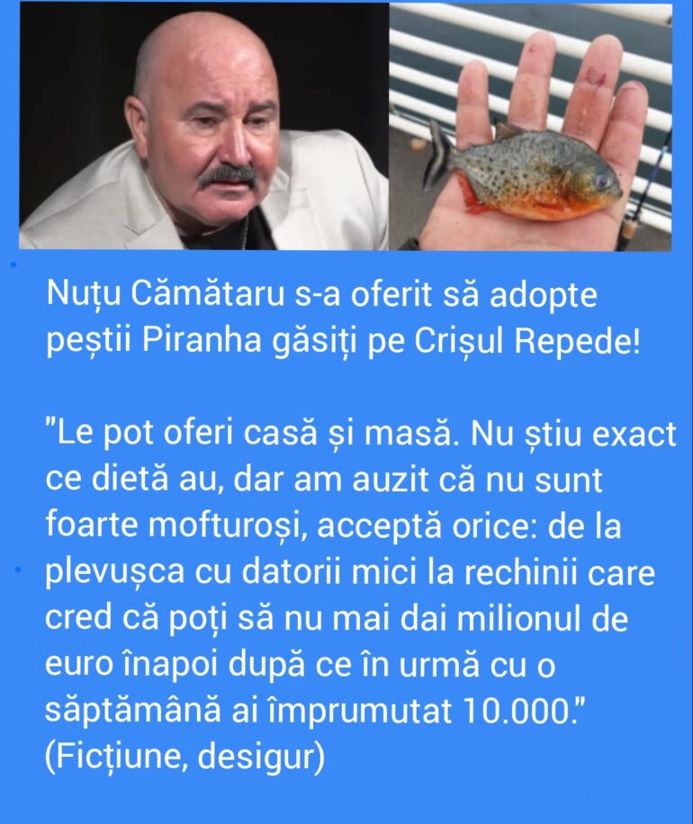 Polish_20221202_100347402