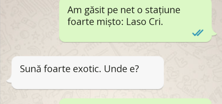 Polish_20221202_121859498