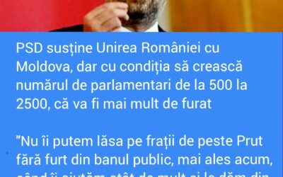 Polish_20221202_163255408