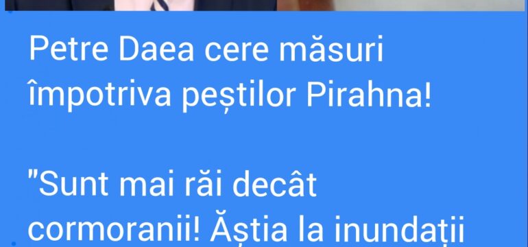 Polish_20221202_191300564