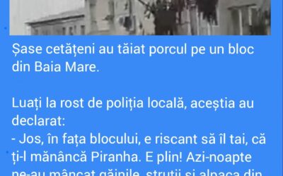 Polish_20221202_205453289