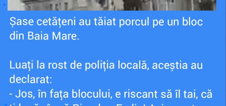 Polish_20221202_205453289