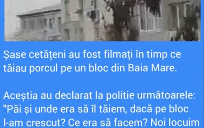 Polish_20221202_221819232