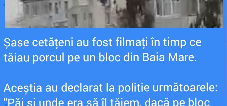 Polish_20221202_221819232