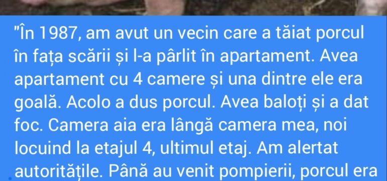 Polish_20221203_020438568