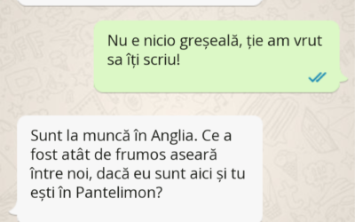 Polish_20221203_150612900