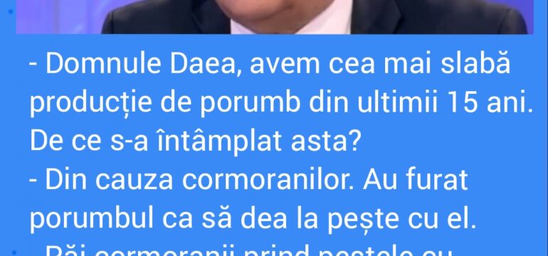 Polish_20221204_205415007