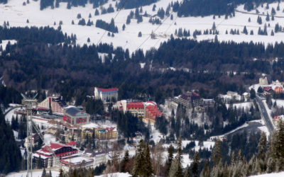 Polish_20221208_192435429