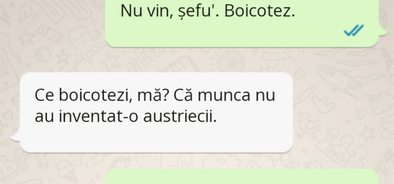 Polish_20221212_112047426