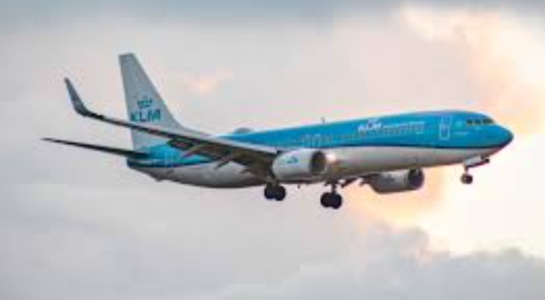 Polish_20221212_191205284