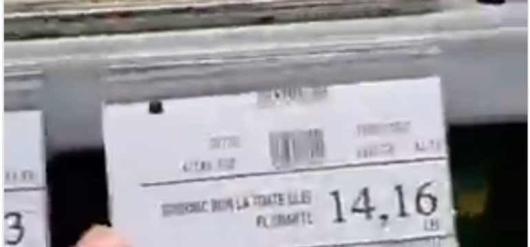 Polish_20221214_130542681