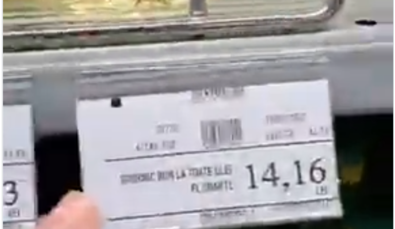 Polish_20221214_130542681