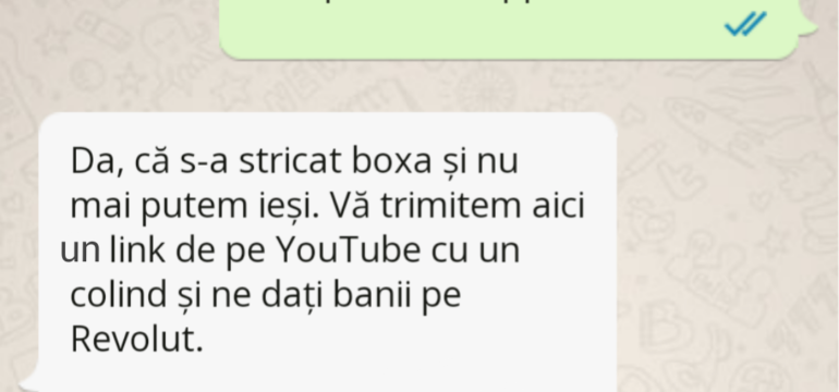 Polish_20221220_152438141