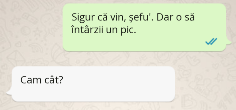 Polish_20221222_151033507