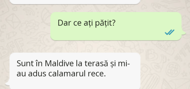 Polish_20221224_145027585