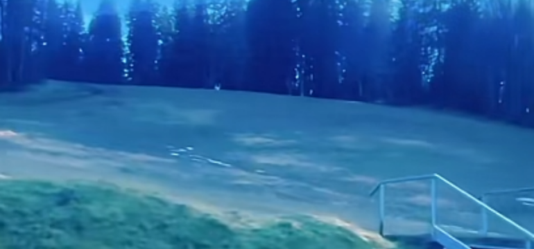 Polish_20230102_200257771