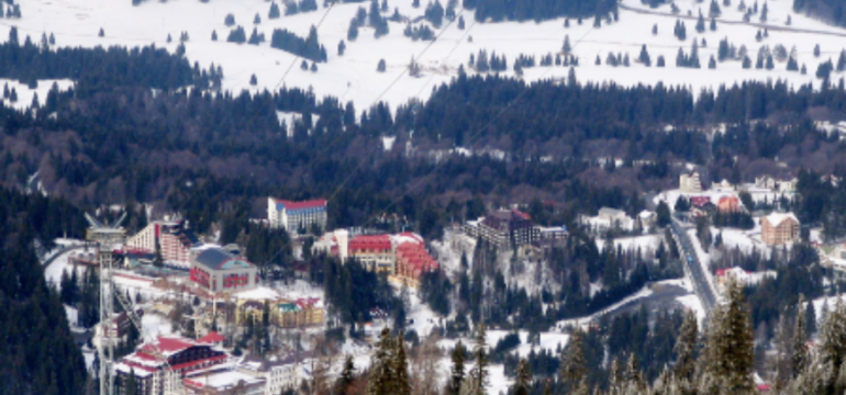 Polish_20230106_170827108