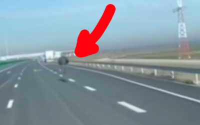 Polish_20230106_204248975
