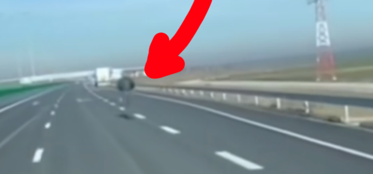 Polish_20230106_204248975