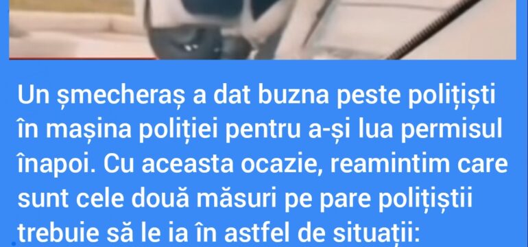 Polish_20230123_105301817