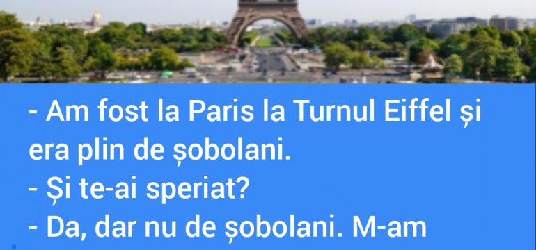 Polish_20230124_112030076